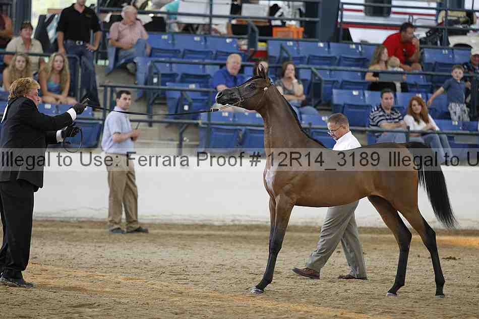 Proof 12r14_3189
