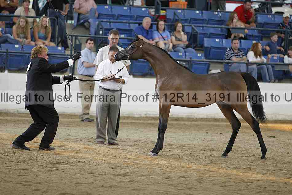 Proof 12r14_3191