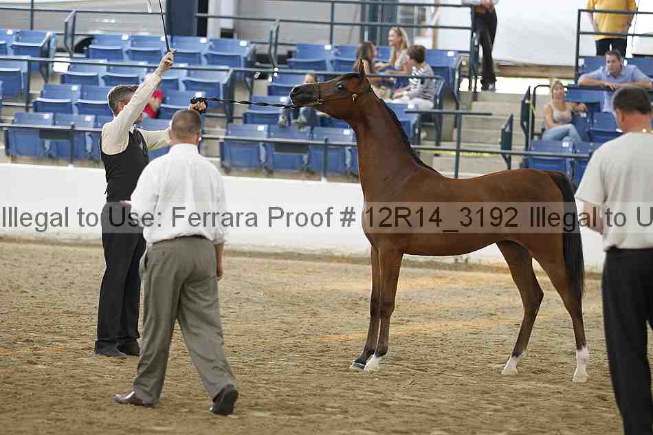 Proof 12r14_3192