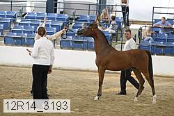 12r14_3193 proof