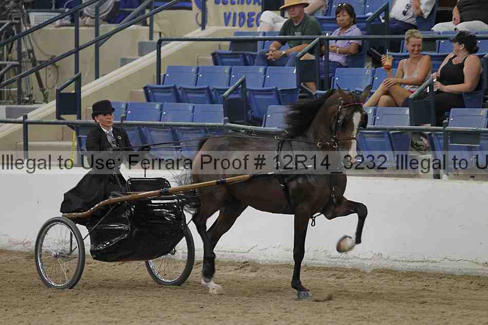 Proof 12r14_3232