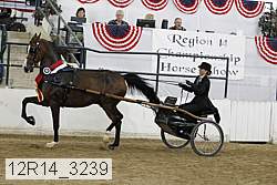 12r14_3239 proof