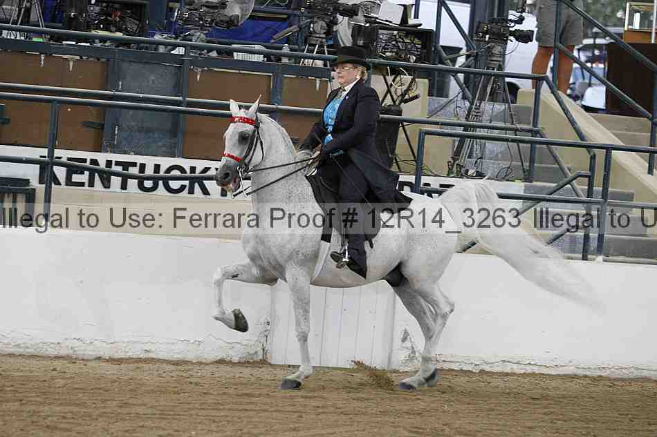 Proof 12r14_3263