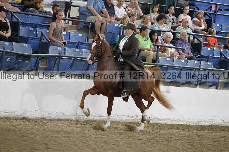 Proof 12r14_3264