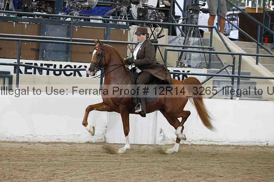 Proof 12r14_3265