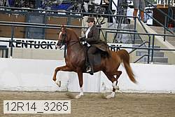 12r14_3265 proof