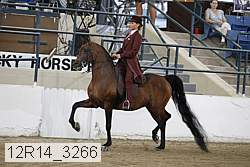 12r14_3266 proof