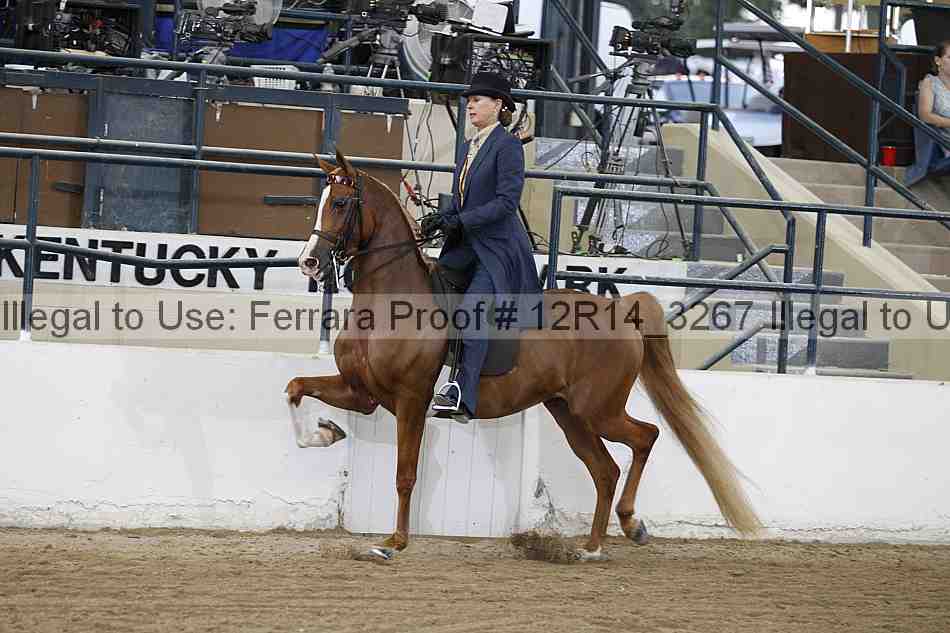 Proof 12r14_3267