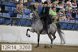 12r14_3268 proof