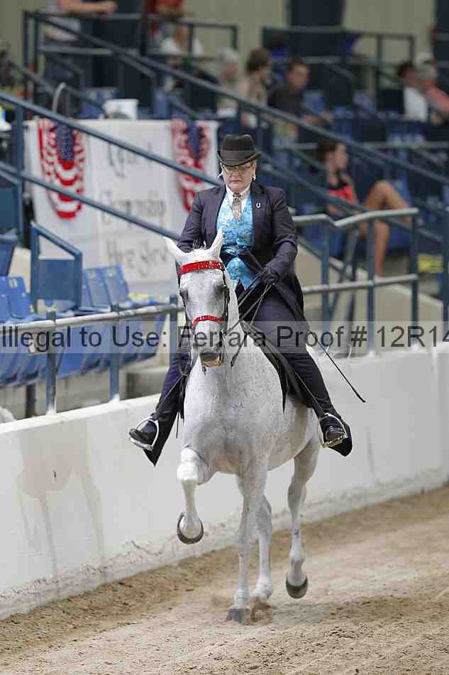 Proof 12r14_3271