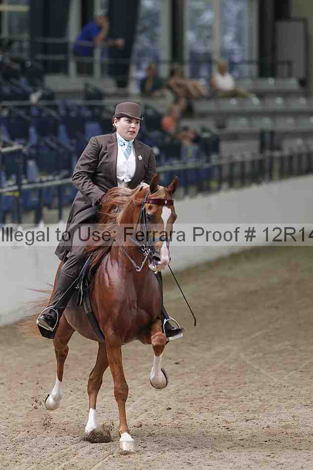 Proof 12r14_3272