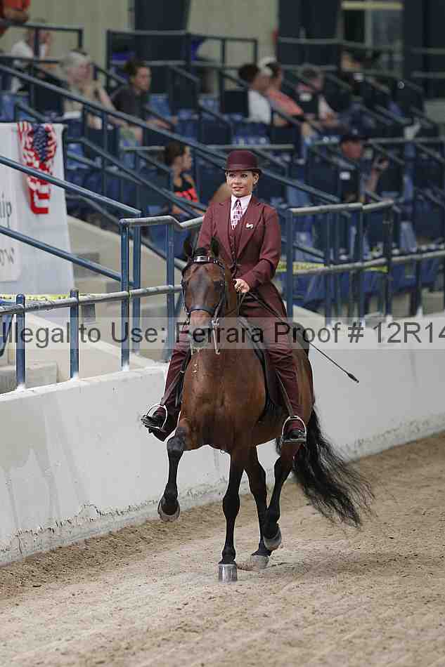 Proof 12r14_3274
