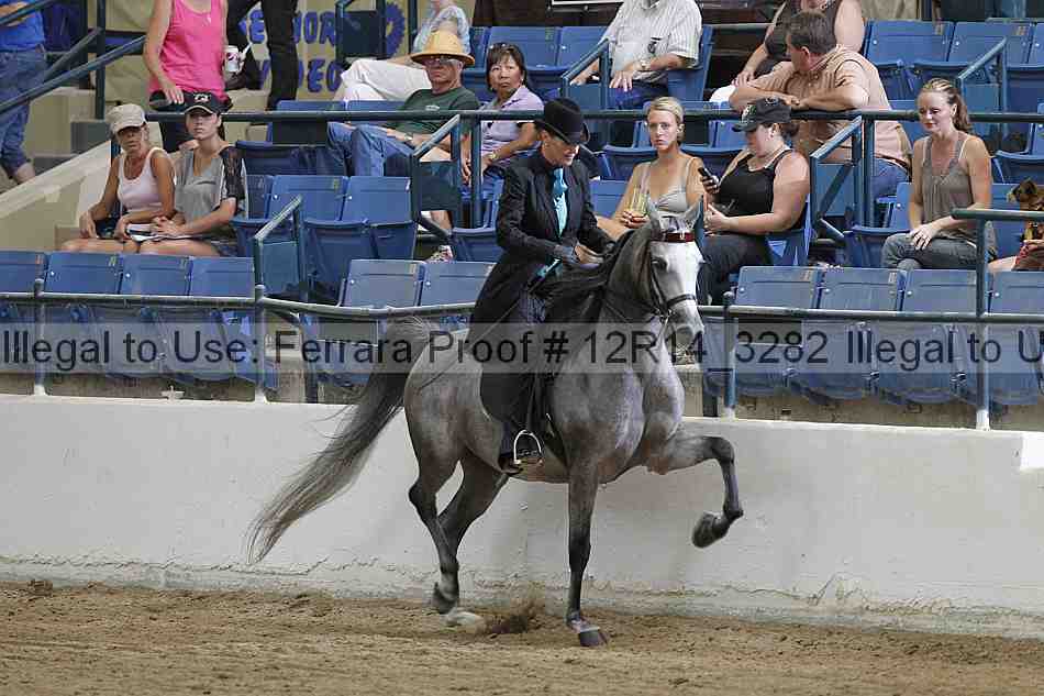 Proof 12r14_3282