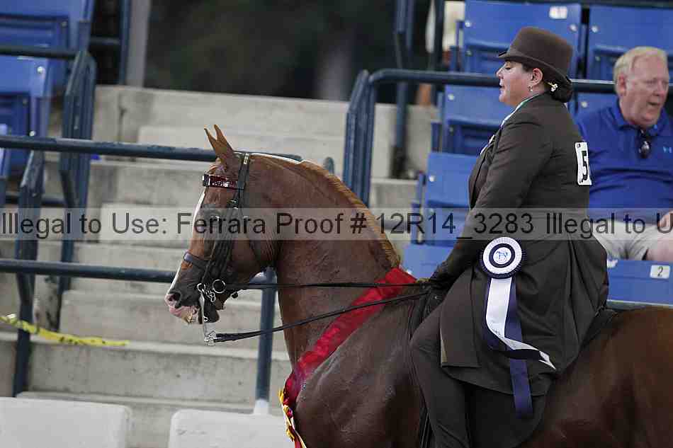Proof 12r14_3283