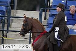 12r14_3283 proof