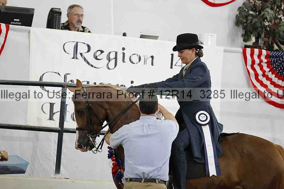 Proof 12r14_3285
