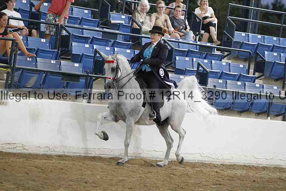 Proof 12r14_3290