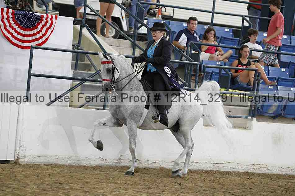 Proof 12r14_3291