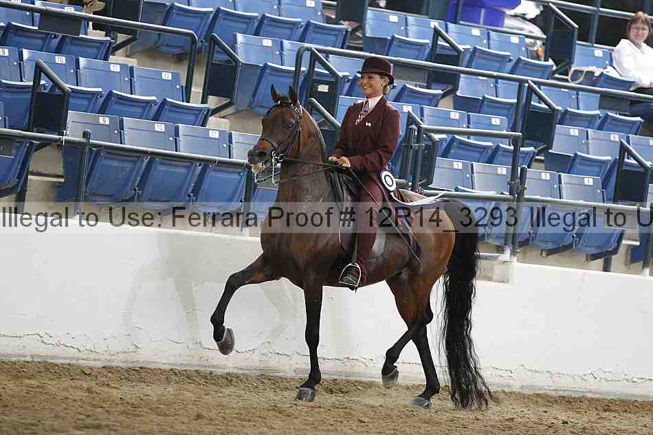 Proof 12r14_3293