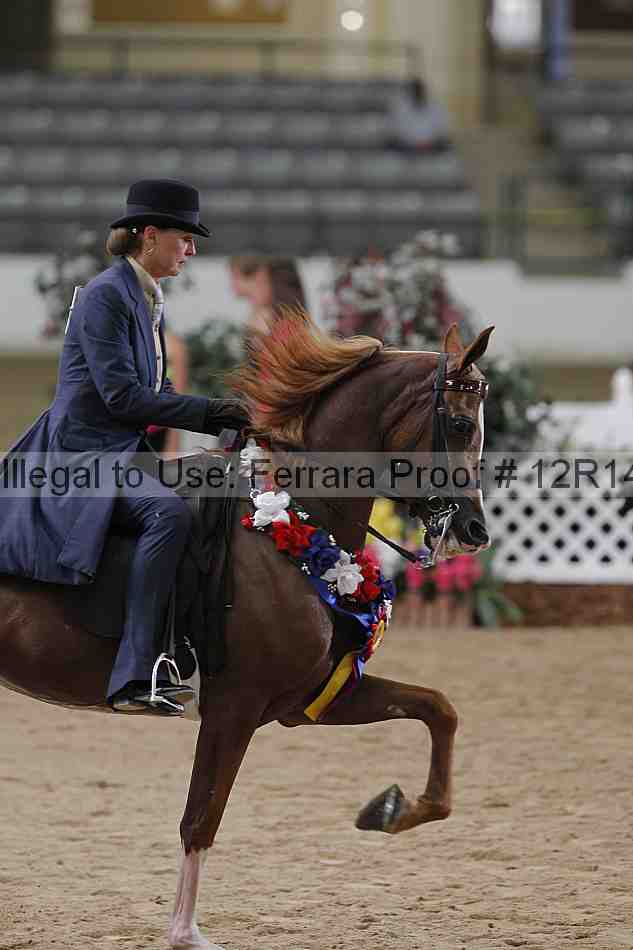 Proof 12r14_3294