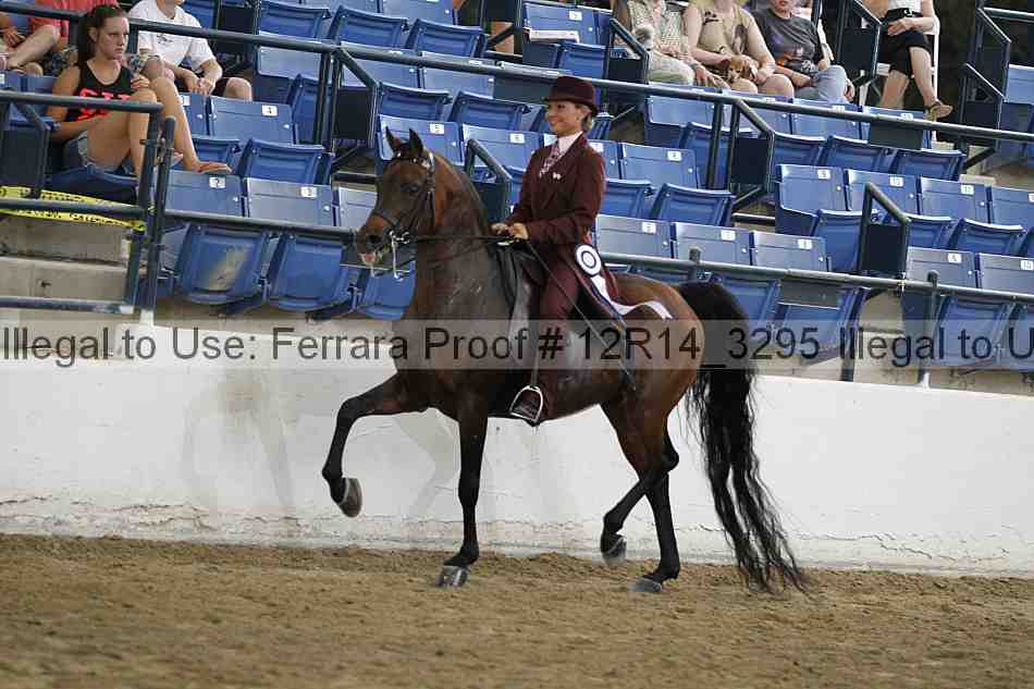 Proof 12r14_3295