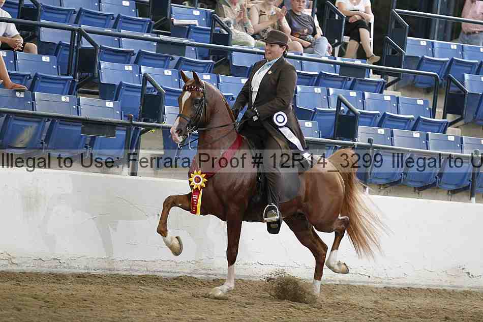 Proof 12r14_3299