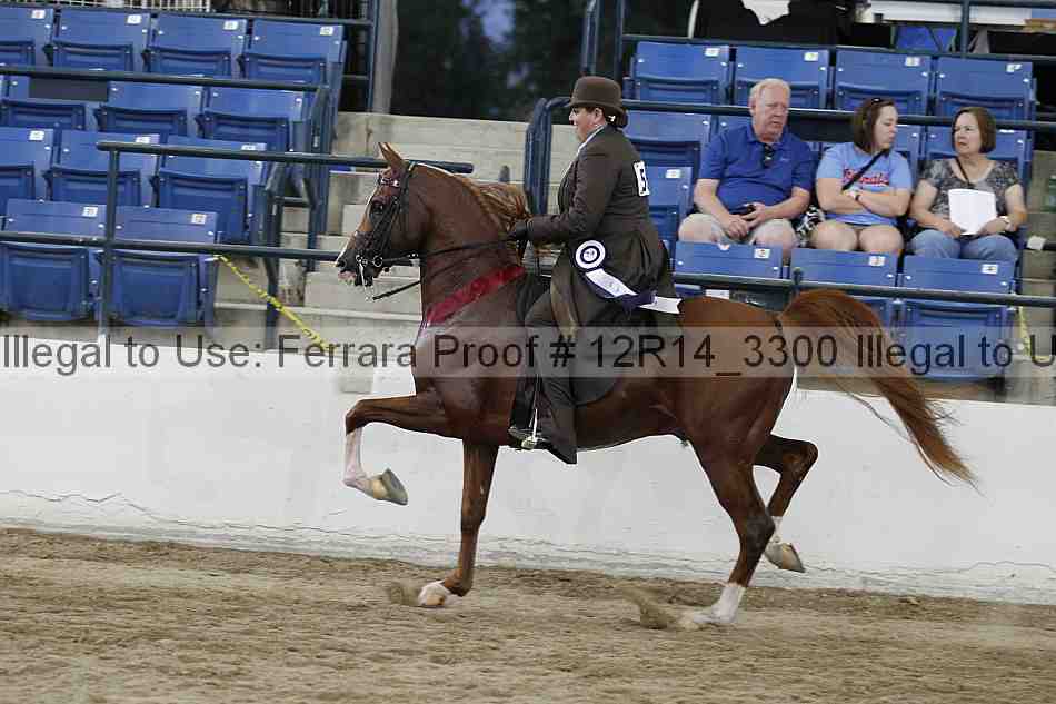 Proof 12r14_3300