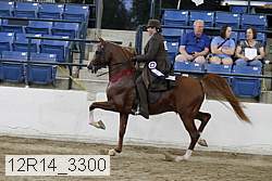 12r14_3300 proof