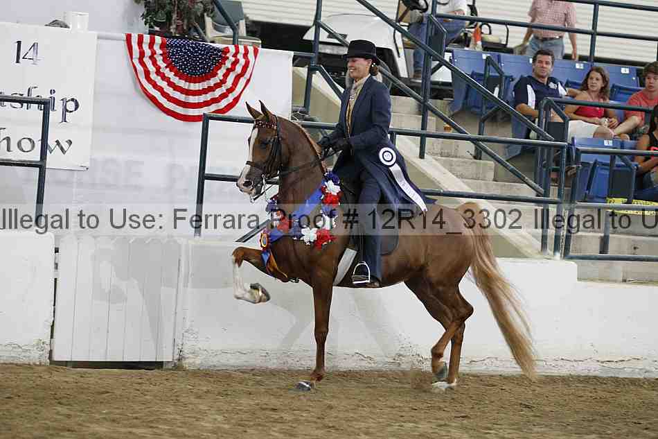 Proof 12r14_3302