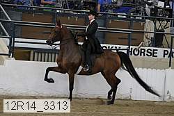 12r14_3313 proof