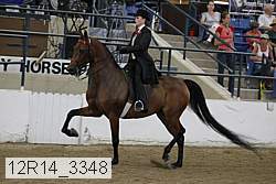12r14_3348 proof