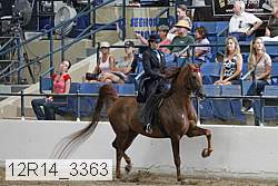 12r14_3363 proof