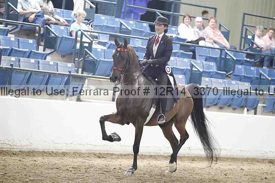 Proof 12r14_3370