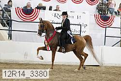 12r14_3380 proof