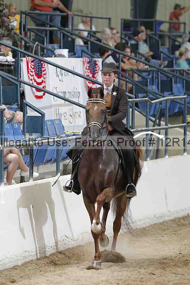 Proof 12r14_3383