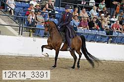 12r14_3391 proof