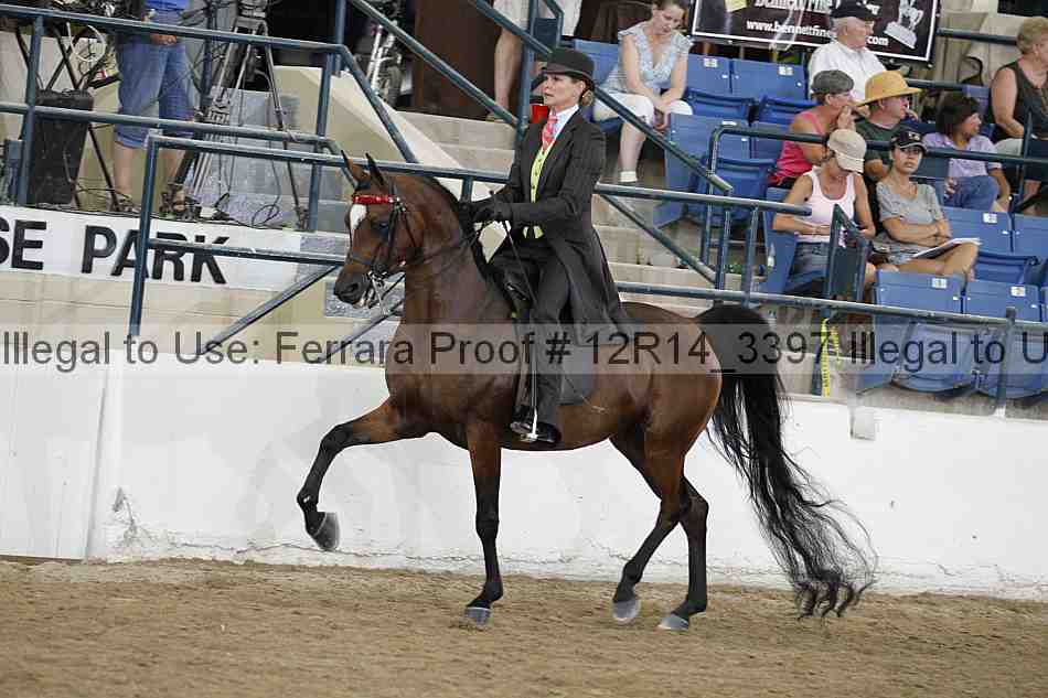 Proof 12r14_3397