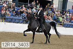 12r14_3403 proof