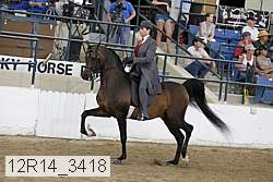 12r14_3418 proof