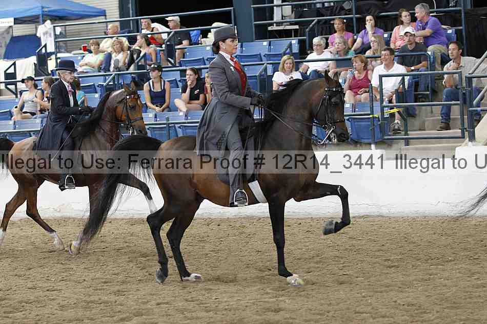 Proof 12r14_3441