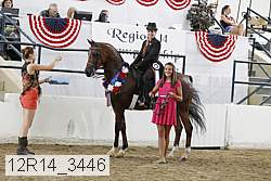 12r14_3446 proof
