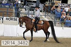 12r14_3482 proof