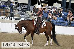 12r14_3483 proof