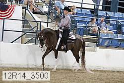 12r14_3500 proof