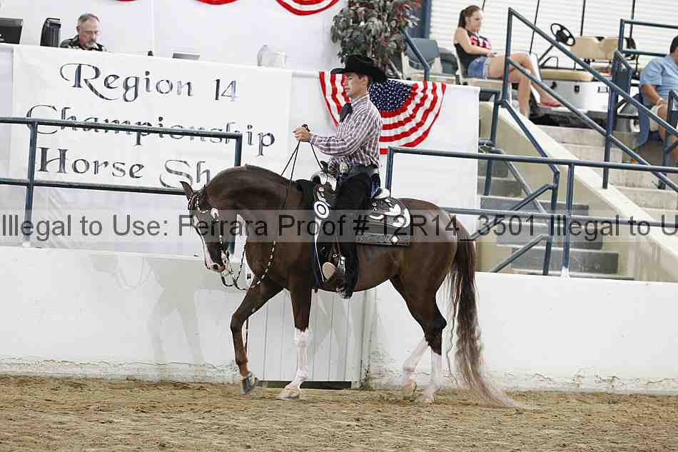 Proof 12r14_3501