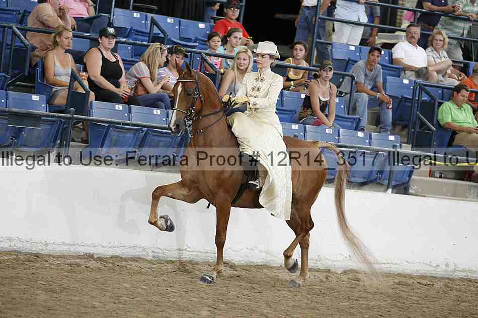 Proof 12r14_3517