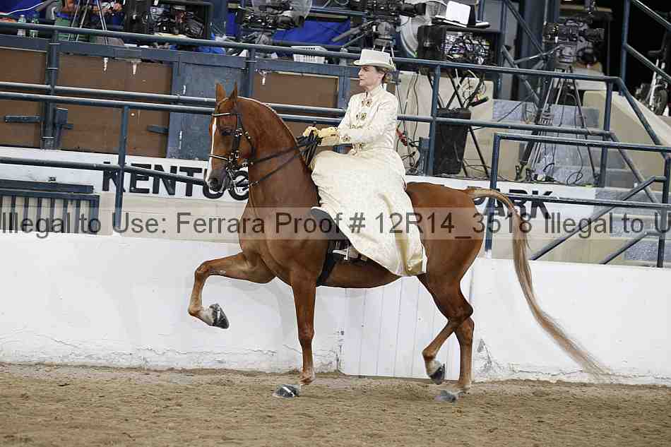 Proof 12r14_3518