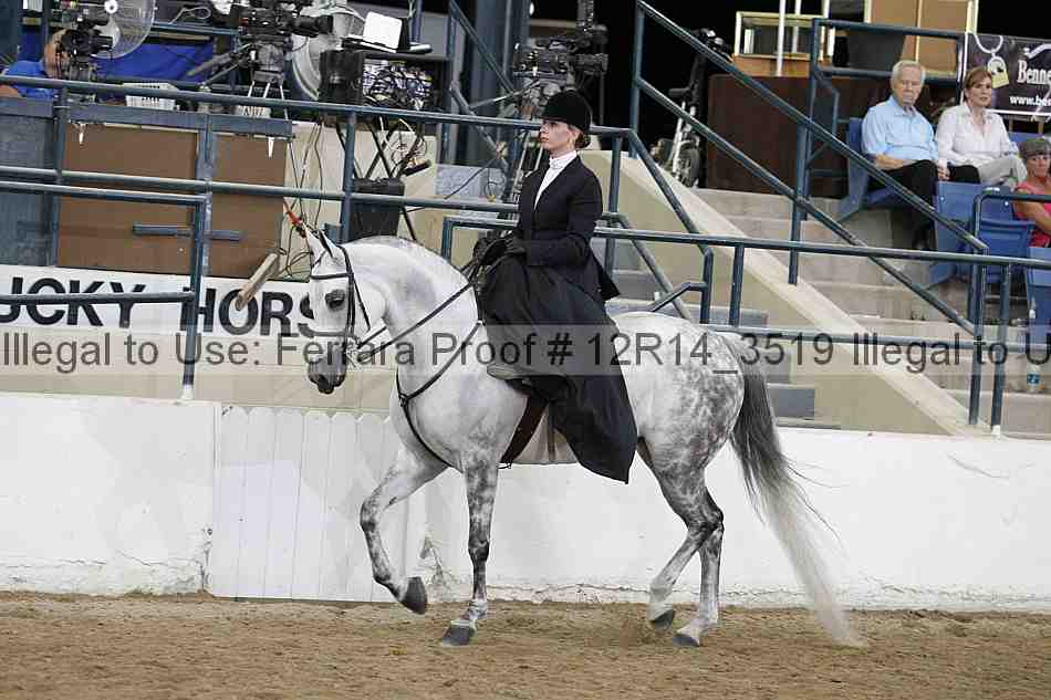Proof 12r14_3519