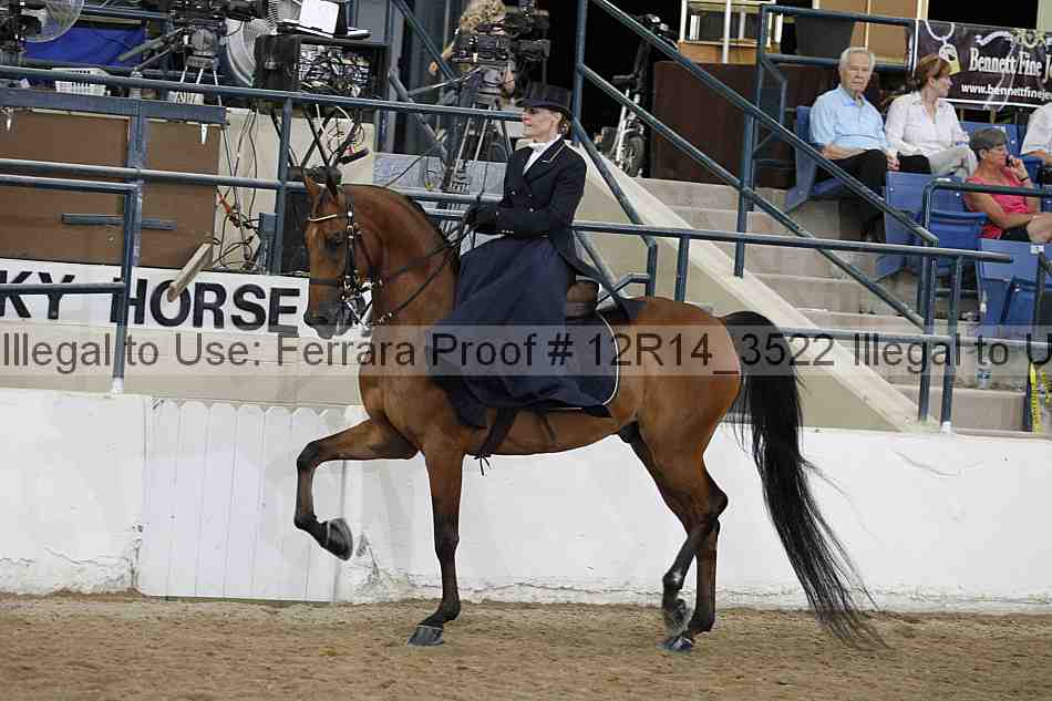 Proof 12r14_3522