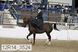12r14_3524 proof